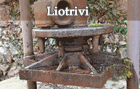 Liotrivi